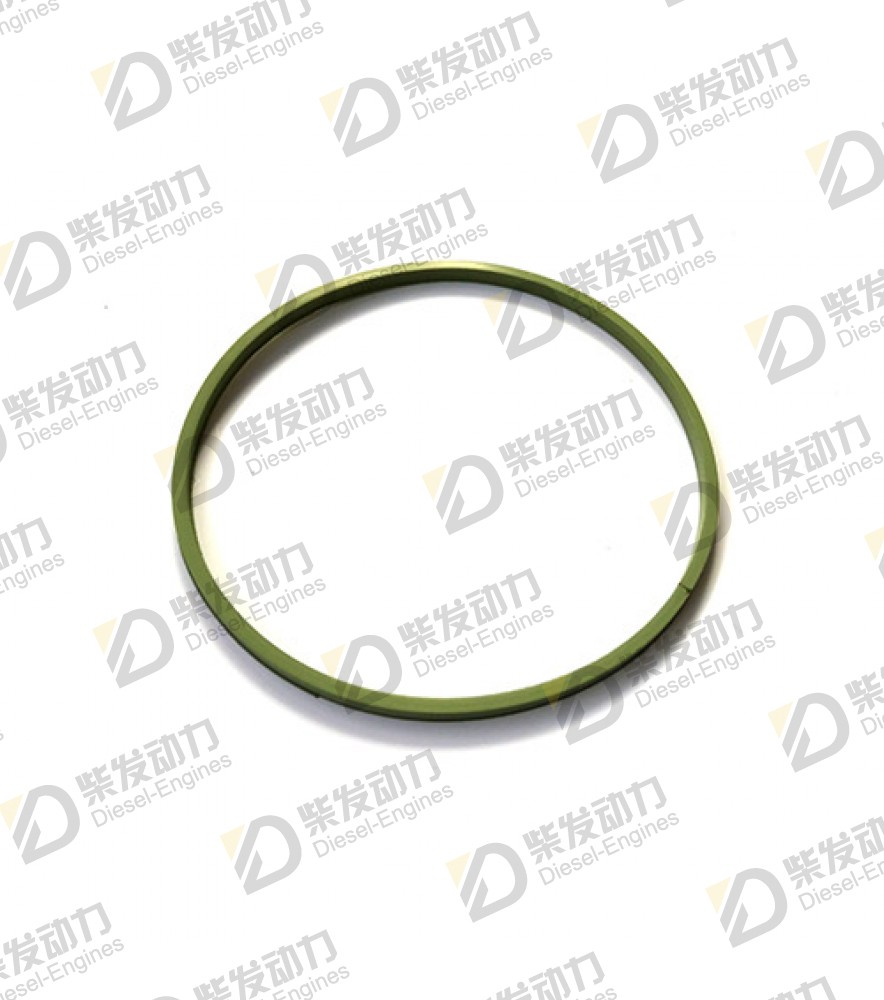 Sealing ring 423123 